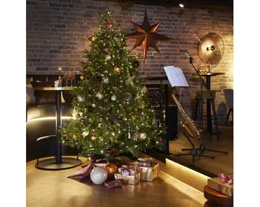 Nordmann bm fir prelit d150h210cm wwt sfeer, Everlands, tuincentrumoutlet.com