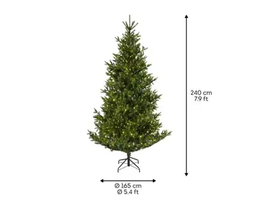 Nordmann bm fir prelit d165h240cm wwt afmetingen, Everlands, tuincentrumoutlet.com