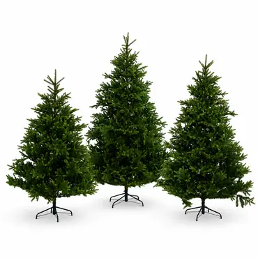 Nordmann boom fir d130h180cm groen sfeer 2, Everlands, tuincentrumoutlet.com