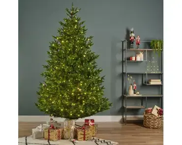 Nordmann boom fir d130h180cm groen sfeer 4, Everlands, tuincentrumoutlet.com