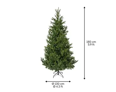 Nordmann boom fir d130h180cm groen afmetingen, Everlands, tuincentrumoutlet.com