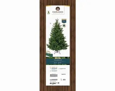 Nordmann boom fir d150h210cm groen verpakking, Everlands, tuincentrumoutlet.com