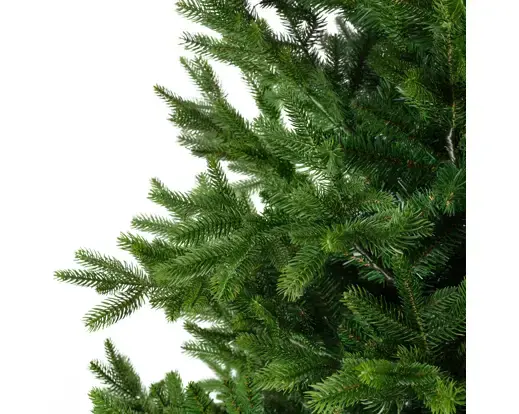 Nordmann boom fir d165h240cm groen details, Everlands, tuincentrumoutelt.com