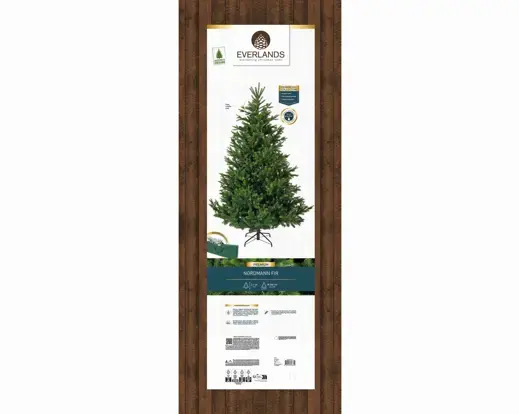 Nordmann boom fir d165h240cm groen verpakking, Everlands, tuincentrumoutelt.com