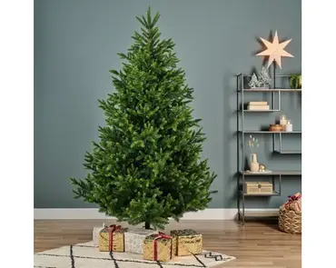 Nordmann boom fir d165h240cm groen sfeer, Everlands, tuincentrumoutelt.com