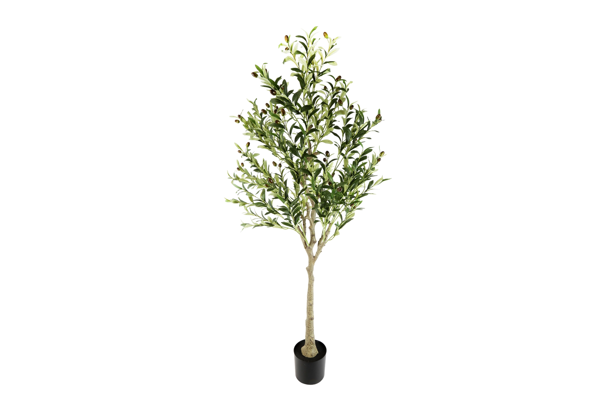 Olea XL groen afbeelding