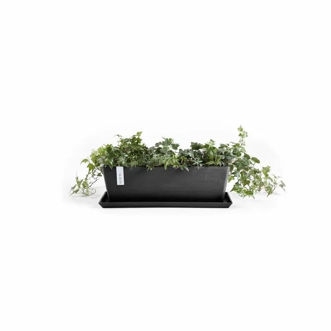 Ondersch rotterd l65b15cm antraciet met plant, Ecopots, tuincentrumoutlet.nl