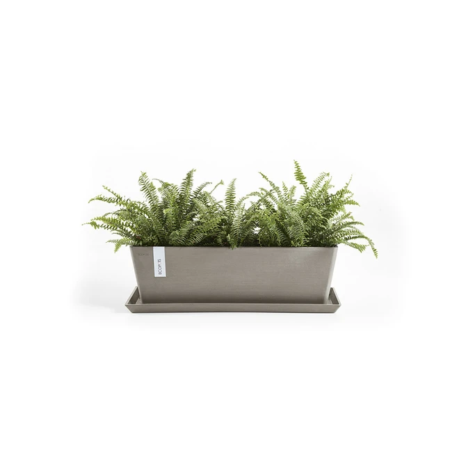 Ondersch rotterd l65b15cm taupe met plant, Ecopots, tuincentrumoutlet.com