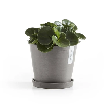 Onderschotel taupe d20cm, Ecopots, Tuincentrumoutlet