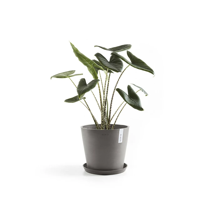 Onderschotel taupe d40cm, Ecopots, Tuincentrumoutlet