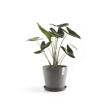 Onderschotel taupe d40cm, Ecopots, Tuincentrumoutlet