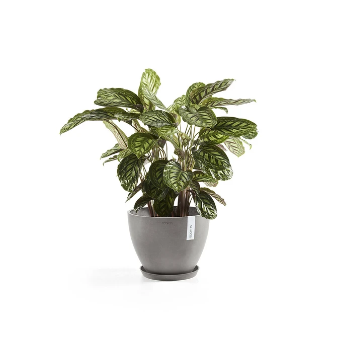 Onderschotel taupe d40cm, Ecopots, Tuincentrumoutlet