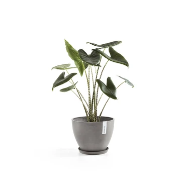 Onderschotel taupe d50cm, Ecopots, Tuincentrumoutlet