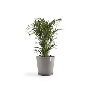 Onderschotel taupe d60cm sfeer, Ecopots, tuincentrumoutlet