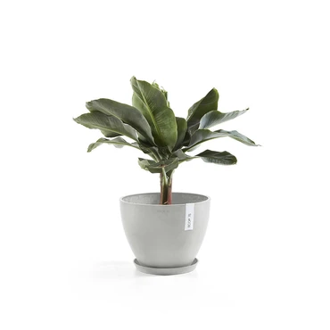 Onderschotel witgrijs d30cm, Ecopots, Tuincentrumoutlet