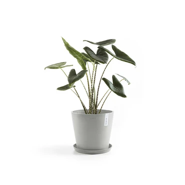 Onderschotel witgrijs d40cm, Ecopots, Tuincentrumoutlet