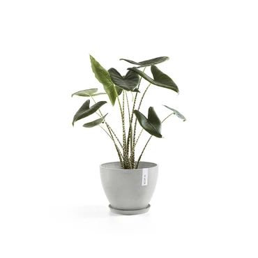 Onderschotel witgrijs d50cm, Ecopots, Tuincentrumoutlet