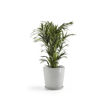 Onderschotel witgrijs d60cm, Ecopots, Tuincentrumoutlet