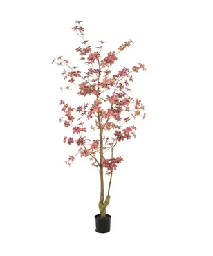 Oost-ind.waterkers in pot l75cm bordeaux, Emerald Eternal Green B.V., tuincentrumoutlet.com