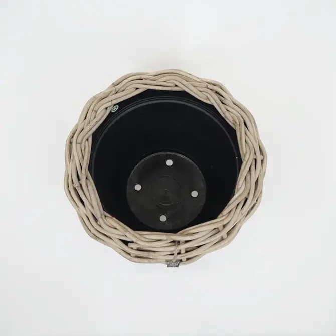 Drypot rotan d57h43cm bovenaf, Mediterraans weekend, tuincentrumoutlet.com