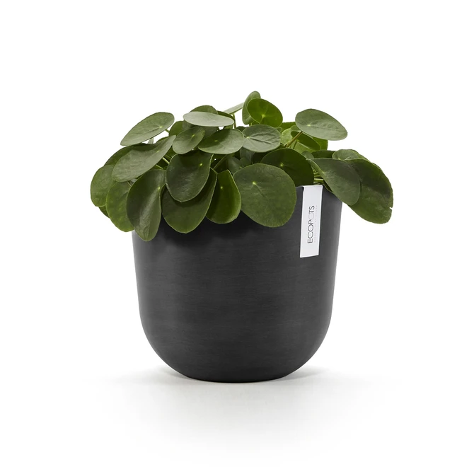 Oslo 20 Donkergrijs sfeer, Ecopots, tuincentrumoutlet.com