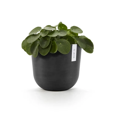 Oslo 20 Donkergrijs sfeer, Ecopots, tuincentrumoutlet.com