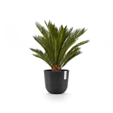 Oslo 20 Donkergrijs sfeerbeeld, Ecopots, tuincentrumoutlet.com