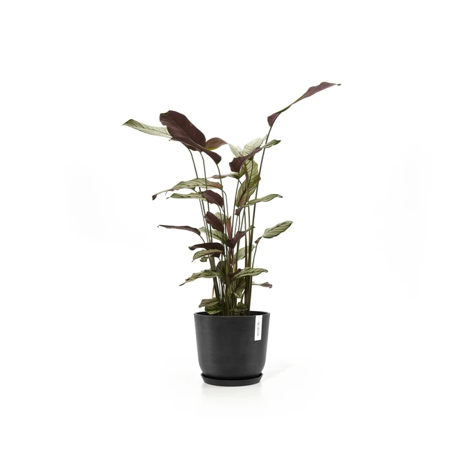 Oslo 20 Donkergrijs sfeer met onderschotel, Ecopots, tuincentrumoutlet.com