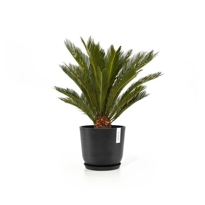 Oslo 20 Donkergrijs sfeerbeeld met onderschotel, Ecopots, tuincentrumoutlet.com