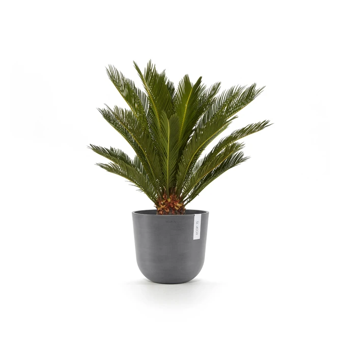 Oslo 20 Grijs sfeerbeeld, Ecopots, tuincentrumoutlet.com