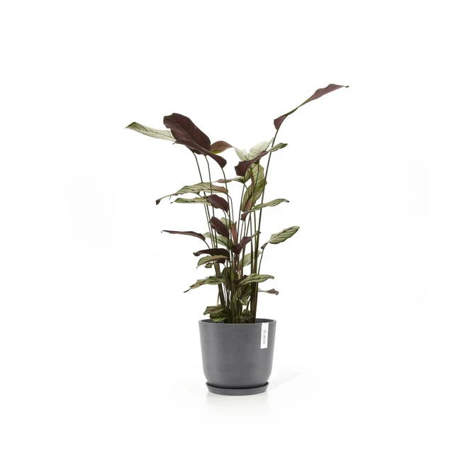 Oslo 20 Grijs sfeer met onderschotel, Ecopots, tuincentrumoutlet.com
