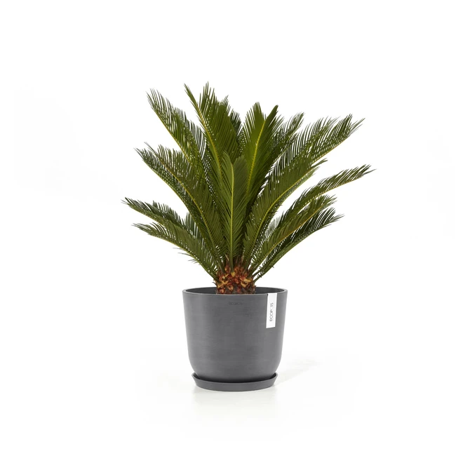 Oslo 20 Grijs sfeerbeeld met onderschotel, Ecopots, tuincentrumoutlet.com