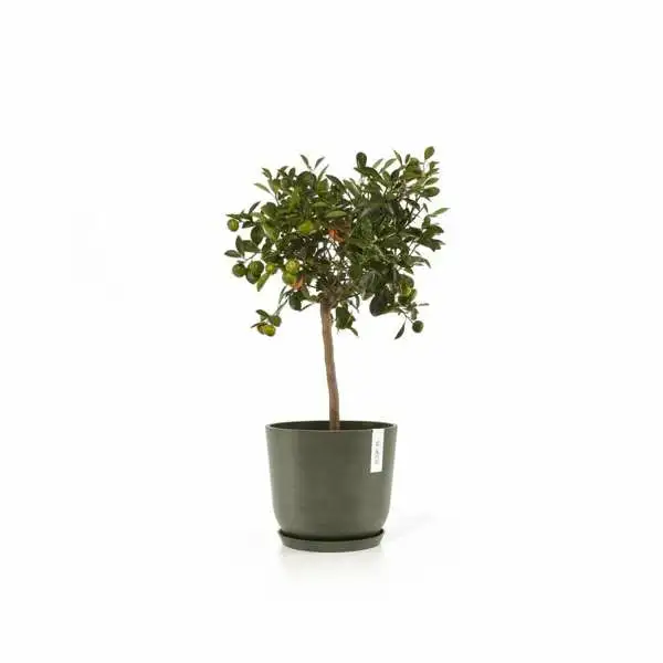 Oslo 20 Kaki voorbeeld, Ecopots, Tuincentrumoutlet.com