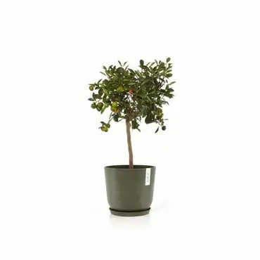 Oslo 20 Kaki voorbeeld, Ecopots, Tuincentrumoutlet.com