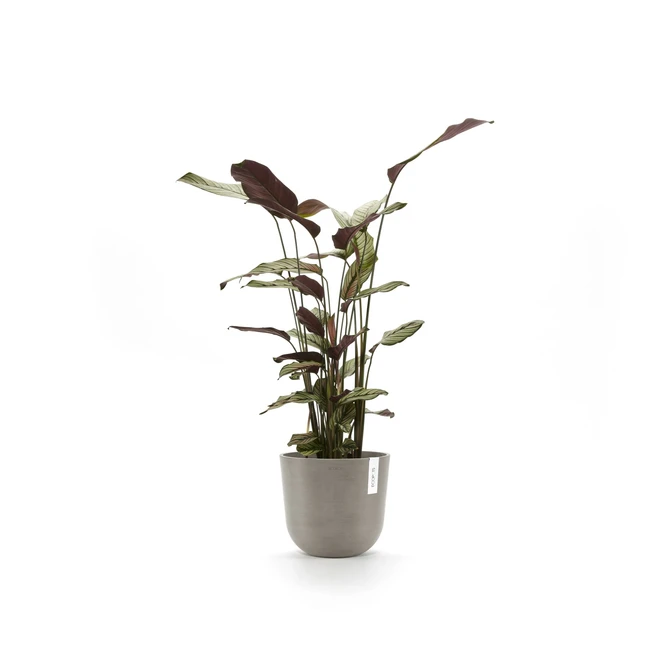 Oslo 20 Taupe sfeer, Ecopots, tuincentrumoutlet.com