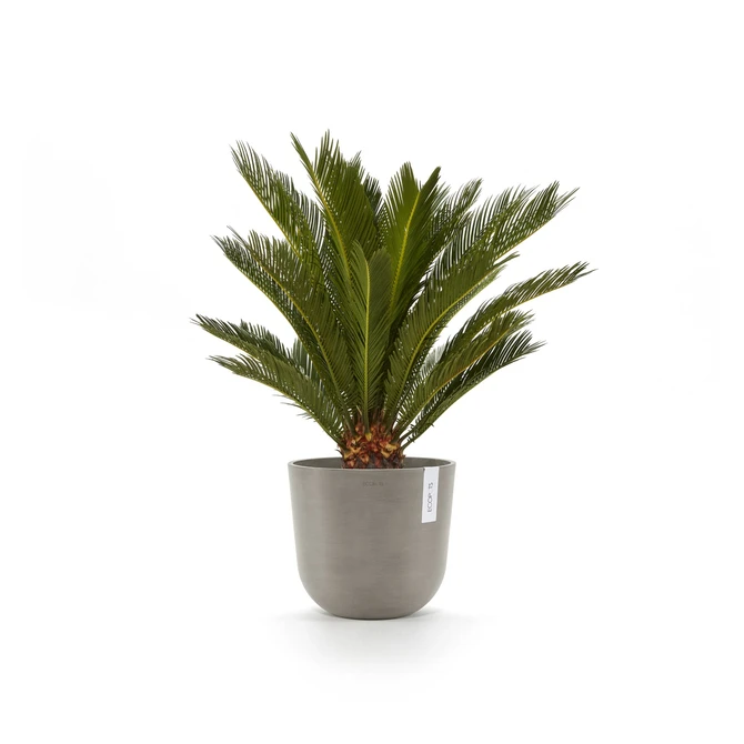 Oslo 20 Taupe sfeerbeeld, Ecopots, tuincentrumoutlet.com