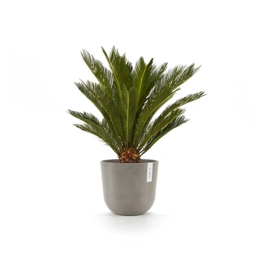 Oslo 20 Taupe sfeerbeeld, Ecopots, tuincentrumoutlet.com