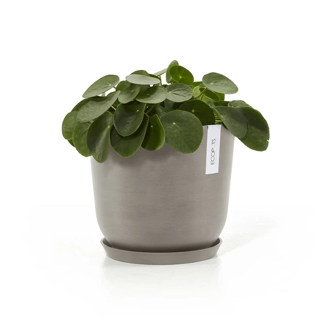 Oslo 20 Taupe sfeer met onderschotel, Ecopots, tuincentrumoutlet.com