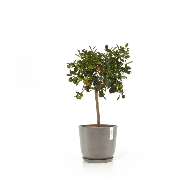 Oslo 20 Taupe sfeerbeeld met onderschotel, Ecopots, tuincentrumoutlet.com
