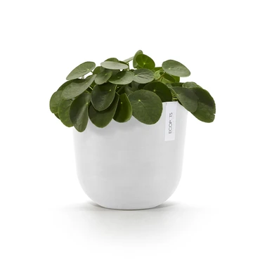 Oslo 20 Wit sfeer, Ecopots, tuincentrumoutlet.com
