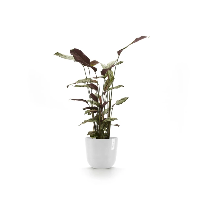 Oslo 20 Wit sfeerbeeld, Ecopots, tuincentrumoutlet.com