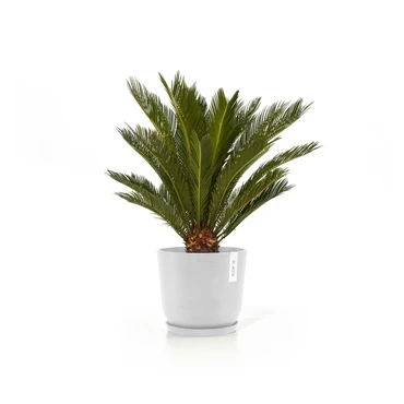 Oslo 20 Wit sfeer met onderschotel, Ecopots, tuincentrumoutlet.com