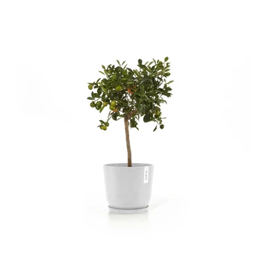 Oslo 20 Wit sfeerbeeld met onderschotel, Ecopots, tuincentrumoutlet.com