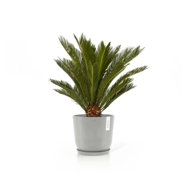 Oslo 20 Witgrijs sfeer met onderschotel, Ecopots, tuincentrumoutlet.com