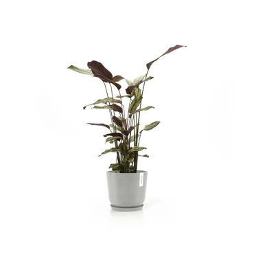 Oslo 20 Witgrijs sfeerbeeld met onderschotel, Ecopots, tuincentrumoutlet.com