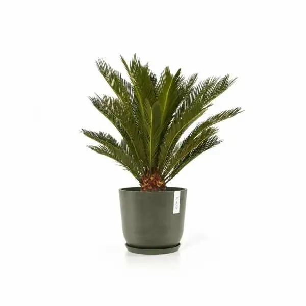 Oslo 25 Kaki voorbeeld, Ecopots, Tuincentrumoutlet.com