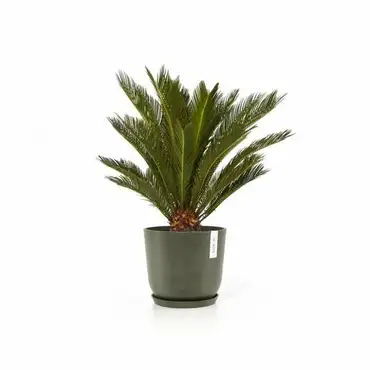 Oslo 25 Kaki voorbeeld, Ecopots, Tuincentrumoutlet.com