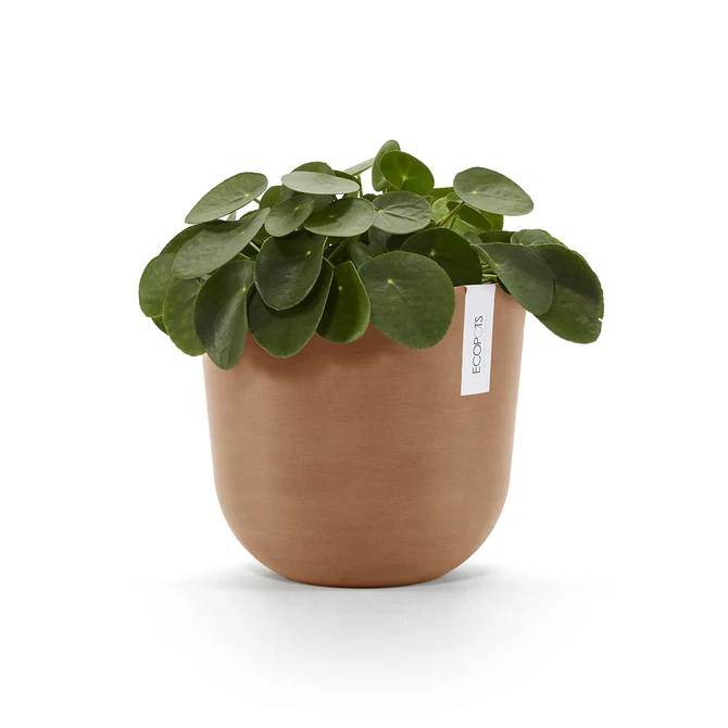 Oslo 25 Terra sfeer, Ecopots, tuincentrumoutlet.com