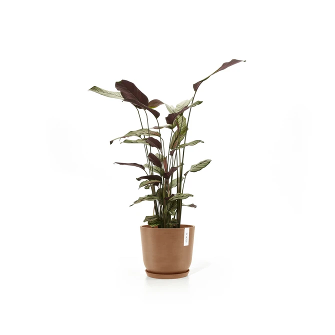 Oslo 25 Terra sfeerfoto, Ecopots, tuincentrumoutlet.com