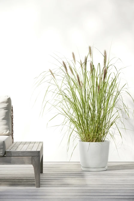 Oslo 25 Wit sfeerfoto, Ecopots, tuincentrumoutlet.com